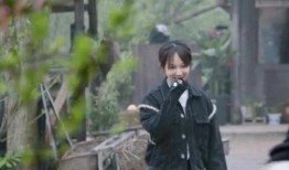 在线观看向往生活,共享美好时光——跟随向往生活探寻乡村魅力